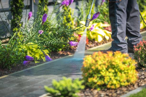 Walnut Grove, CA Pressure Washing Services Company