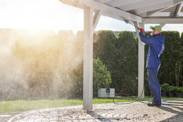 Best Pool Deck Cleaning  in Walnut Grove, CA